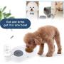 XSY&G Double Dog Cat Bowls Water and Food Bowl Set Automatic Water Dispenser Detachable Glass Feeder Bowl No-Spill Pet Food Feeder for Cat/Small Dog
