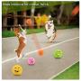 FTXJ 6PCS Puppy Dog Toys Chewing Squeaky Toy for Pet Dog with Sound Squeaker Squeaky Ball with Face Fetch Toy (3.255.253.25cm, Random)