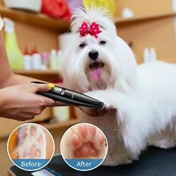 Petural Small Dog Clippers with LED Lighting Low Noise, 2-Speed Dog Paw Clippers,Rechargeable Electric Dog Paw Trimmer, Paw Trimmer for Grooming Small Dogs and Cats Around Paws, Eyes, Ears, Face, Rump