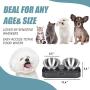 Takezuaa Elevated Cat Bowls, 15° Tilted Raised Cat Food and Water Bowls for Small Size Dog, Food Grade Stainless Steel Nonslip Pet Feeder Bowl