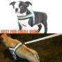Musonic No Pull Dog Harness for Small Dogs Adjustable Reflective Lightweight Vest Harness Easy Fit and Escape Resistant for Outdoor Training and Walking, Leash Included