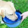 KABB 1PC Foldable Silicone Dog Bowl Outfit Portable Travel Bowl for Dogs Feeder Utensils Outdoor Drinking Water Dog Bowl, Red