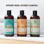 Rocco & Roxie Dog Shampoos for All Dogs - Soothe Oatmeal Shampoo for Dry Itchy Skin, Calm Hypoallergenic Shampoo for Sensitive Skin, and Shine Argan Oil Conditioning Shampoo