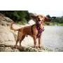 Embark Adventure Dog Harness, Easy On and Off with Front and Back Leash Attachments & Control Handle - No Pull Training, Size Adjustable and Non Choke Embark Adventure Dog Harness, Easy On and Off with Front and Back Leash Attachments & Control Handle - No Pull Training, Size Adjustable and Non Choke