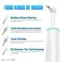 mothermed Electric Pet Tooth Brush Head Use to Remover Stubborn Stains and Dental Stones Cleaning for Dog and Cat mothermed Electric Pet Tooth Brush Head Use to Remover Stubborn Stains and Dental Stones Cleaning for Dog and Cat