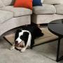 DERICOR Dog Bed Crate Pad Machine Washable