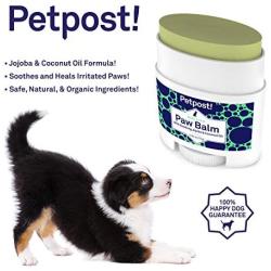 Petpost | Paw Balm for Dogs - Nourishing Cream Soothes Itchy, Dry Dog Paws with Organic Ingredients - Moisturizing Coconut Oil, Jojoba Oil, and Shea Butter