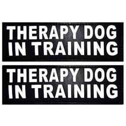 Doggie Stylz Set of 2 Reflective Therapy Dog in Training Removable Patches with Hook Backing for Working Dog Harnesses & Vests. Durable and Interchangeable - Comes in 3 Sizes Small, Medium and Large