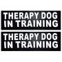 Doggie Stylz Set of 2 Reflective Therapy Dog in Training Removable Patches with Hook Backing for Working Dog Harnesses & Vests. Durable and Interchangeable - Comes in 3 Sizes Small, Medium and Large