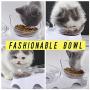 MILIFUN Elevated Double Cat Dog Bowls, Pet Food and Water Bowl with 15°Tilted Raised, Pet Feeding Basic Bowl for Cats Small Dogs and Other Small Animals White