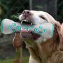 CYX Dog Chew Molar Stick Toys Clean Teeth Oral Care,Bite Resistant and Chewy-Resistant Health Materials Suitable,for Dental Care of Large Medium and Small Dogs Teeth Cleaning Toy for Pets-(Bule)