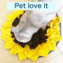 Snuffle Mat，Dog Puzzle Toys，Snuffle Mat for Dogs Rainbow Medium Small Pet Machine Washable Indoor Game Feed Treat Food Interactive Dispensing