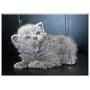 Triple Blank Wall Plate Cover - Kitten Cat Baby Pet Young Cat Animal Domestic Cat