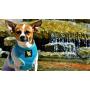Classic Dog Harness Innovative Mesh No Pull No Choke Design Soft Double Padded Breathable Vest for Eco-Friendly Easy Control Walking Quick Release for Puppies Toy Breeds & Extra-Small Dogs