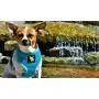 Classic Dog Harness Innovative Mesh No Pull No Choke Design Soft Double Padded Breathable Vest for Eco-Friendly Easy Control Walking Quick Release for Puppies Toy Breeds & Extra-Small Dogs Classic Dog Harness Innovative Mesh No Pull No Choke Design Soft Double Padded Breathable Vest for Eco-Friendly Easy Control Walking Quick Release for Puppies Toy Breeds & Extra-Small Dogs