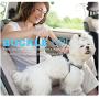 Pawtitas Dog Seat Belt | Pet Safety Seat Belt with Adjustable Strap for Small to Large Dogs | Exceeds Dog Safety Standards | Keep Your Dog Secure in The Car - Dog Car Seat Belt