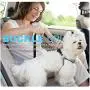 Pawtitas Dog Seat Belt | Pet Safety Seat Belt with Adjustable Strap for Small to Large Dogs | Exceeds Dog Safety Standards | Keep Your Dog Secure in The Car - Dog Car Seat Belt Pawtitas Dog Seat Belt | Pet Safety Seat Belt with Adjustable Strap for Small to Large Dogs | Exceeds Dog Safety Standards | Keep Your Dog Secure in The Car - Dog Car Seat Belt