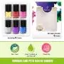 lesotc Dog Nail Polish Set, 6 Color Set (Pink, Purple, Red, Gold, Blue, Silver), Non-Toxic Water-Based Pet Nail Polish, Natural and Safe, Suitable for All Pet (Birds, Mice, Pigs and Rabbit)