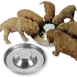 Podinor Stainless Steel Puppy Dog Bowls, Pets Puppies Feeding Food and Water Weaning Bowls Dishes Feeder