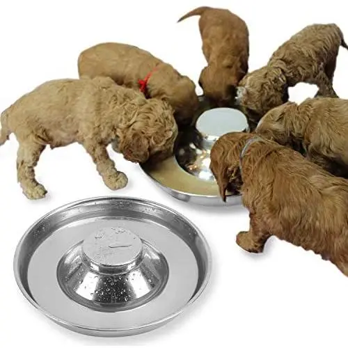Podinor Stainless Steel Puppy Dog Bowls, Pets Puppies Feeding Food and Water Weaning Bowls Dishes Feeder Podinor Stainless Steel Puppy Dog Bowls, Pets Puppies Feeding Food and Water Weaning Bowls Dishes Feeder