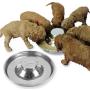 Podinor Stainless Steel Puppy Dog Bowls, Pets Puppies Feeding Food and Water Weaning Bowls Dishes Feeder