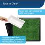 PetSafe Pet Loo Portable Indoor/Outdoor Dog Potty, Alternative to Puppy Pads, 3 Size Options for Small, Medium and Large Breeds