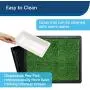 PetSafe Pet Loo Portable Indoor/Outdoor Dog Potty, Alternative to Puppy Pads, 3 Size Options for Small, Medium and Large Breeds PetSafe Pet Loo Portable Indoor/Outdoor Dog Potty, Alternative to Puppy Pads, 3 Size Options for Small, Medium and Large Breeds