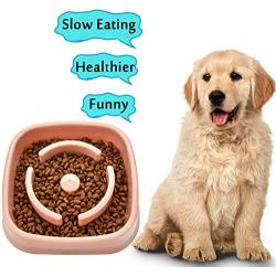 TANDD Slow Feeder Bowl, Anti-Choke Pet Bowls, Pets Water Bowl, Healthy Food Fun for Dog/Puppy