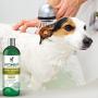 Vets Best Medicated Oatmeal Shampoo for Dogs | Soothes Dog Dry Skin | Cleans, Moisturizes, and Conditions Skin and Coat | 16 Ounces