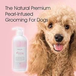 Blooming Body Wash – Hypoallergenic Natural Dog Shampoo | Skin & Coat Care for Dogs, Puppies, Pets | Canine Derma Capsule Technology | Soothing for Dry, Sensitive or Itchy Skin