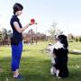 PETIZER Squeaky Dog Ball Toy for Aggressive Chewers ,4 Inches Indestructible Durable Big Dogs Chew Spiky Ball, Floatable Rubber Pet Toys for Medium &Large Breeds