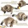 ARELLA Catnip Football Toy for Cats Catnip Refillable Scratcher Ball Kittys Faithful Playmate Reduce Obesity and Loneliness CSB06BR ARELLA Catnip Football Toy for Cats Catnip Refillable Scratcher Ball Kittys Faithful Playmate Reduce Obesity and Loneliness CSB06BR