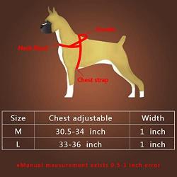 Beirui 1'' Width Genuine Leather Soft and Padded Dog Harness - Heavy Duty for Labrador German Shepherd