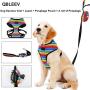Dog No-Pull Harness Vest & Leash Set with Poopbags Pouch,Rainbow Adjustable Double-Layer Mesh Pet Clothes for Puppy Teddy Shar Pei Small Medium Dogs,Breathable Padded Handle,Daily Walking Travelling