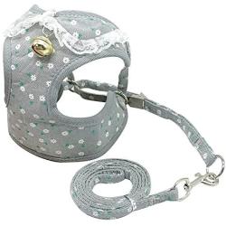 Didog Adjustable Pet Mesh Vest Harness and Leash Set with Cute Bell for Puppy Small Medium Dogs and Cats