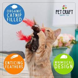 Pet Craft Supply Co. Kitty Condor Crazy Catnip Cuddler Funny Cuddling Chasing Hunting Irresistible Stimulating Soft Plush Boredom Relief Interactive Cat Toy with Realistic Feathers