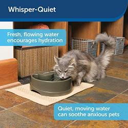 PetSafe Current Pet Fountain, Circulating Drinking Fountain for Cats and Dogs
