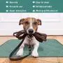 Newbeau Washable Pee Pads for Dogs, Dog Training Pad with Durable Oxford Cloth, Reusable Seat Protector Pad for Beds,Couches,Cars,Chairs - Set of 2
