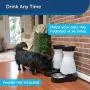 PetSafe Healthy Pet Gravity Food or Water Station, Automatic Dog and Cat Feeder or Water Dispenser, Small, Medium, Large