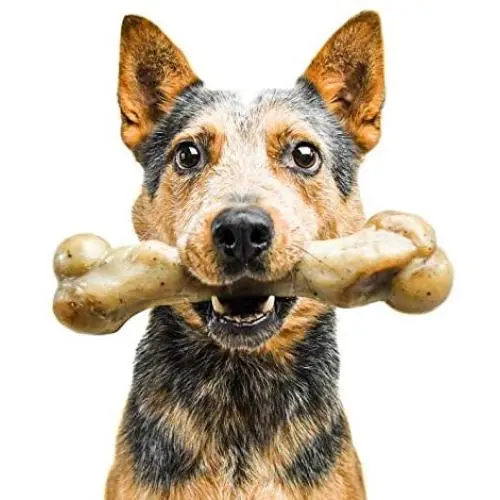 Pet Qwerks Zombie NYLON BarkBone - Chew Toy for Aggressive Chewers, Tough Durable Extreme Power Chewer Bone | Made in USA - Available in 2 Flavors and 4 Sizes Pet Qwerks Zombie NYLON BarkBone - Chew Toy for Aggressive Chewers, Tough Durable Extreme Power Chewer Bone | Made in USA - Available in 2 Flavors and 4 Sizes