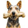 Pet Qwerks Zombie NYLON BarkBone - Chew Toy for Aggressive Chewers, Tough Durable Extreme Power Chewer Bone | Made in USA -  Available in 2 Flavors and 4 Sizes