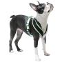 Gooby - Active X Head-in Harness, Choke Free Small Dog Harness with Synthetic Lambskin Soft Strap