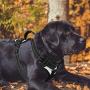 Bolux No Pull Dog Harness, Adjustable Pet Reflective Oxford Soft Vest Harness with Leash Clips for Small Medium Large Dogs, Pet No-Choke Halters with Nylon Handle
