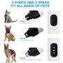 Belita Amy Dog Nail Grinder-Electric Dog Nail Trimmer Clipper, 2-Speed Low Noise Rechargeable Pet Nail Trimmer, Painless Paws Grooming and Smoothing for Small Medium Large Dogs and Cats
