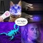 LECHONG Cat Projector Toy Interactive Cat Teaser Toys for Indoor Cats, 5 Patterns Dog Cat Chaser Toy with UV Black Light Rechargeable and Portable