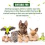 4 Pieces Pet Syringe Pet Pill/Tablet Syringe with Safety Tip Small Animal Pill Shooter Pet Pill Feeding Dispenser for Cats Dogs Birds (White)