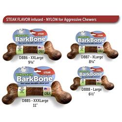 Pet Qwerks Extreme Dinosaur BarkBone Dog Chew Toy, Steak Flavor, Large