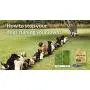 Dog Rocks - 100% Natural Grass Burn Prevention - Prevents Lawn Urine Stains - Three Small Bags - 6 Month Supply Dog Rocks - 100% Natural Grass Burn Prevention - Prevents Lawn Urine Stains - Three Small Bags - 6 Month Supply