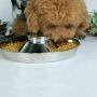 King International Stainless Steel Dog Bowl 3 Puppy Litter Food Feeding Weaning|SilverStainless Dog Bowl Dish| Set of 3 Pieces | 29 cm - for Small/Medium/Large Dogs, Pets Feeder Bowl and Water Bowl