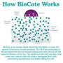 BioSafe BioSafe Puppy Bone